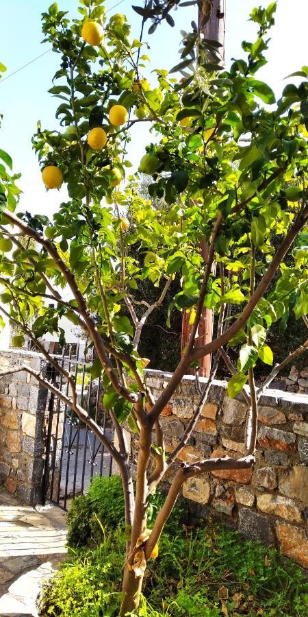 Traditional House In Elounda Bagian luar foto